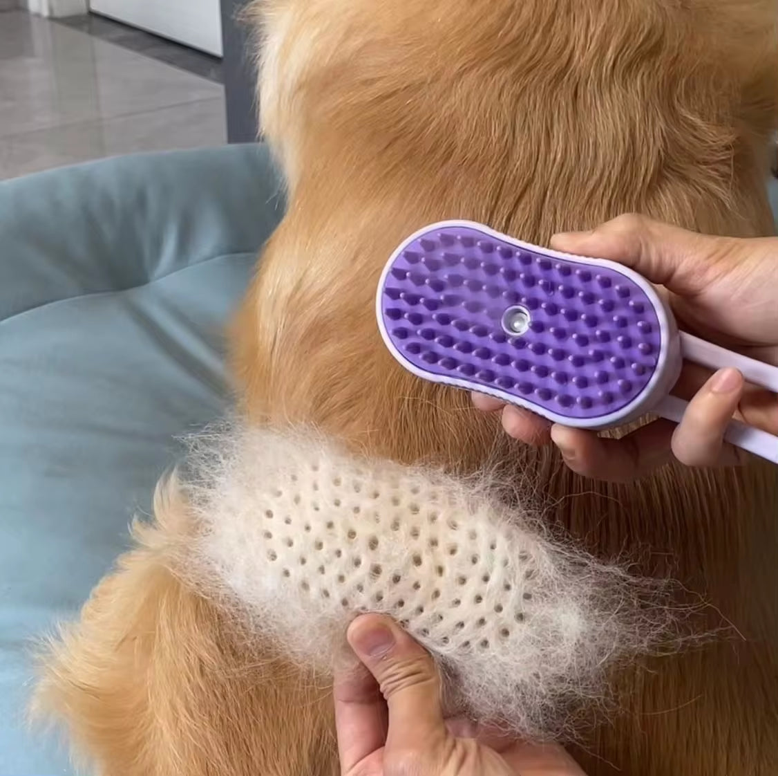 Electric Pet Spray Comb: Hair Removal, Massage & Anti-Static for Cats & Dogs